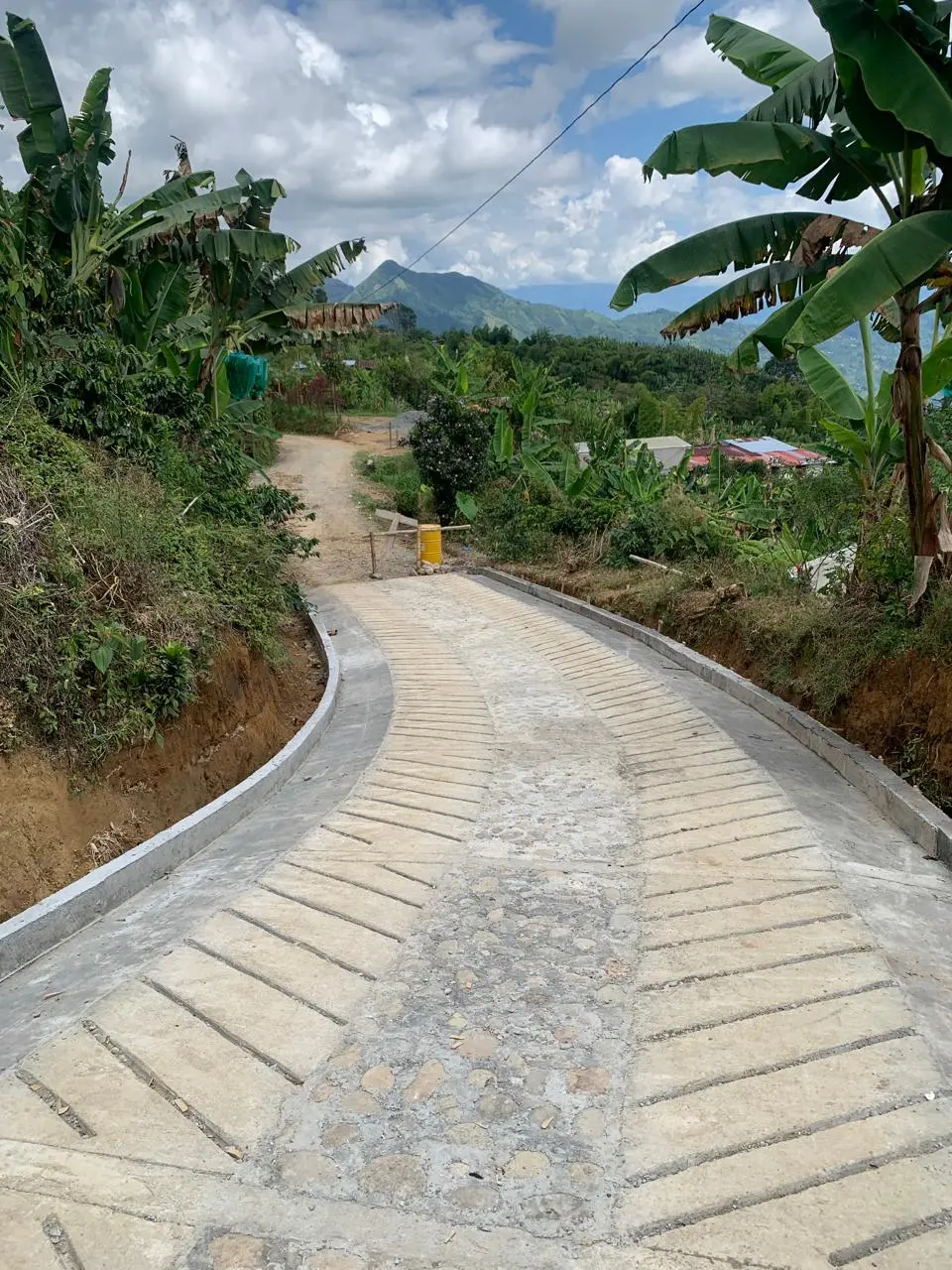 Diseño, construcción y mantenimiento de vías.